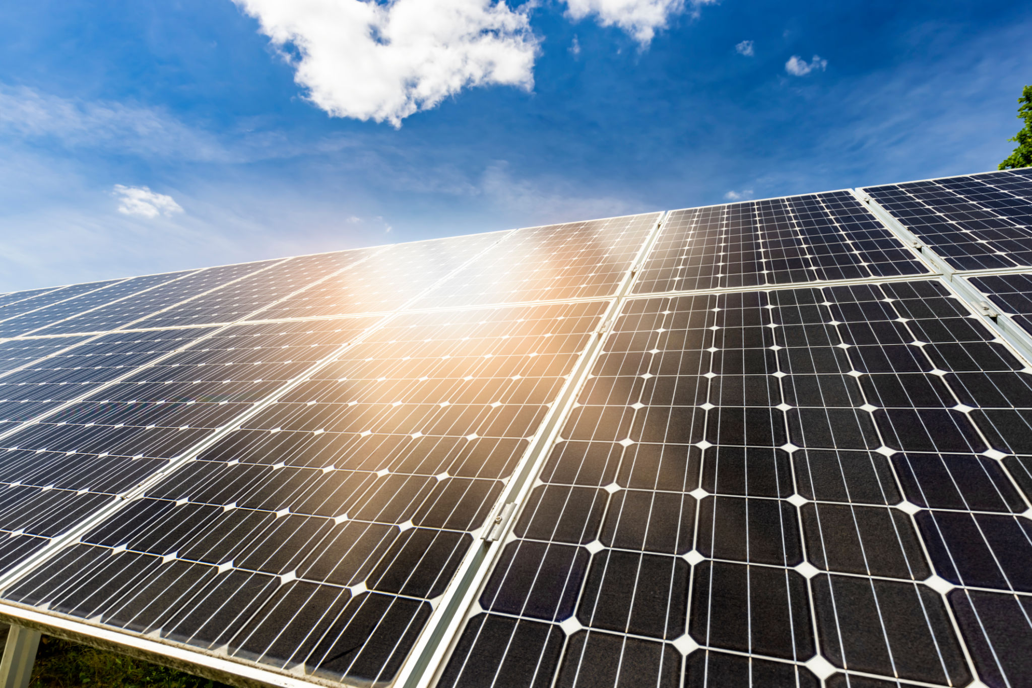 Why Custom ERP for Solar Companies Is the Smartest Investment You'll Make This Year